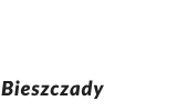 Domki Brzozówka - logo